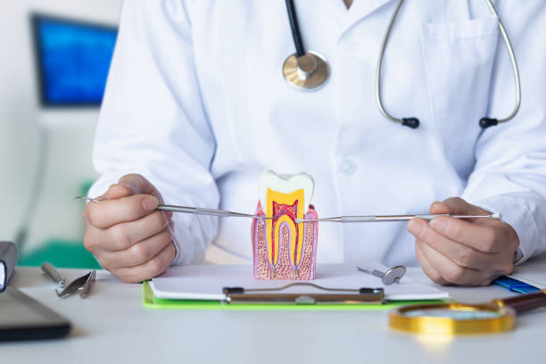 Best Emergency Dental Services for Seniors in Somerville, TX
